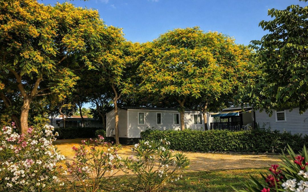 Mobil-Home Premium 3: comodidad y elegancia para tus vacaciones